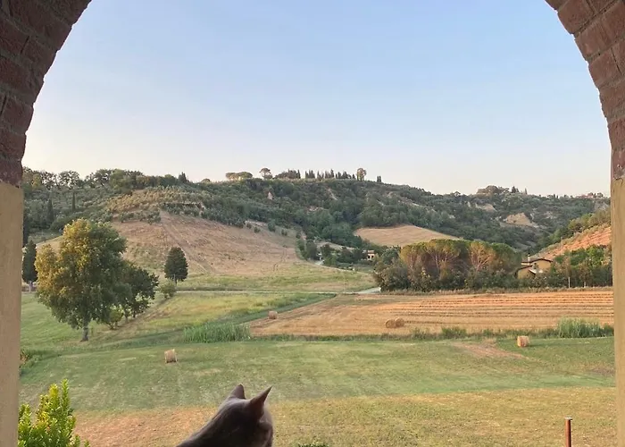 New Immersed In Nature With Pool Apartament San Miniato